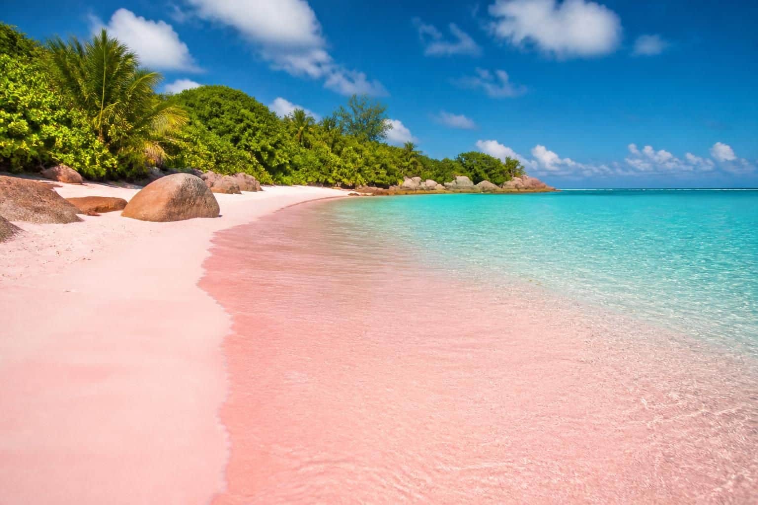 découvrez les plus belles plages de sable rose à travers le monde, des destinations uniques idéales pour des vacances paradisiaques.